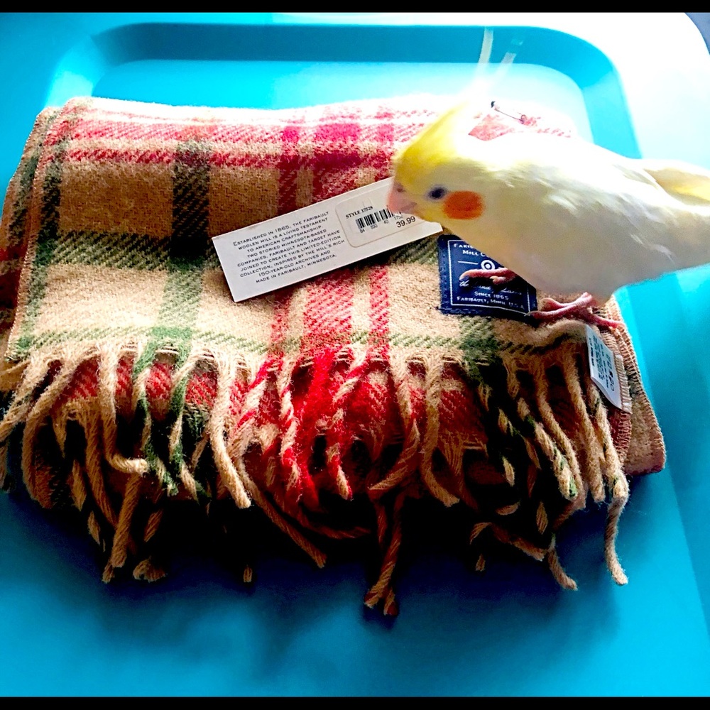 🆕 FARIBAULT WOOLEN MILL COMPANY- Scarf 🧣